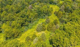 Holiday Lake Rd, Appomattox, VA 24522