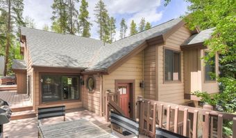 114 Park Forest Dr, Breckenridge, CO 80424