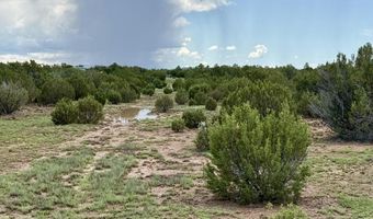 85 CR 8128 Lots 100 101 & 108, Concho, AZ 85924