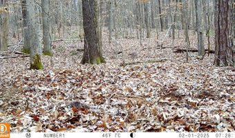 504 247 Country Rd, Bruce, MS 38915