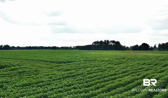 Ross Road, Atmore, AL 36502