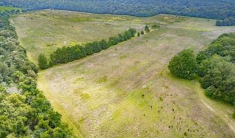 242 Hammond Rd, Beech Island, SC 29842