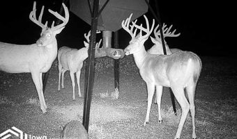 560 Th Ave, Albia, IA 52531