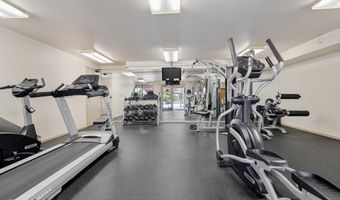 545 Pierce St 1206, Albany, CA 94706