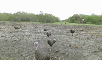 325 County Road 129, Alice, TX 78332