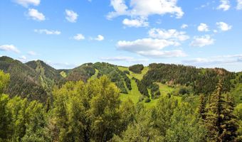 155 Lone Pine Rd 8, Aspen, CO 81611