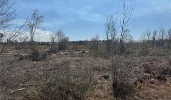 0 35.01 Acres Bacon School Rd, Alma, GA 31510