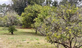 154 W LEWIS Ave, Apopka, FL 32712