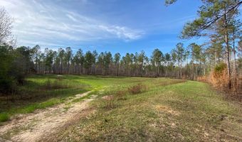 02 County Road 6650, Banks, AL 36005