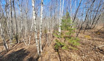 29 Reef Point Rd, Addison, ME 04606