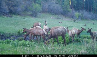 15098 CR 240, Bayfield, CO 81122