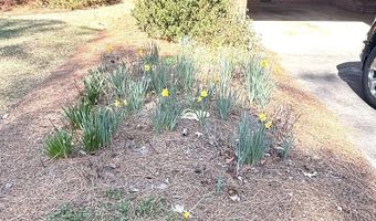 538 Virginia St, Roanoke Rapids, NC 27870