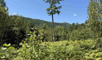 F2 Cave Mountain Road, Bartlett, NH 03812