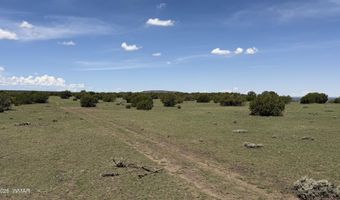 141 N8515, Concho, AZ 85924
