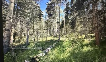 Elk Ridge Road lot 23, Angel Fire, NM 87710