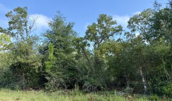 Rincon Street lot 2 & 3, Alford, FL 32420