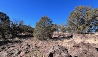 N8689 lot 002P, Concho, AZ 85924