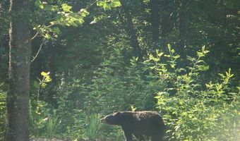 229 Pine Valley Dr, Bassett, VA 24055