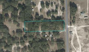 3109 US Hwy 129, Bell, FL 32619