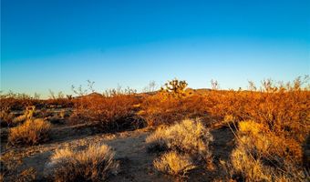 2358 S Cattle Crossing Rd, Yucca, AZ 86438