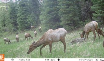 15098 CR 240, Bayfield, CO 81122