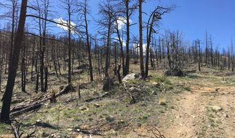 3600 Moondance Way, Bellvue, CO 80512