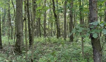 31 Oak Dr, Albright, WV 26519