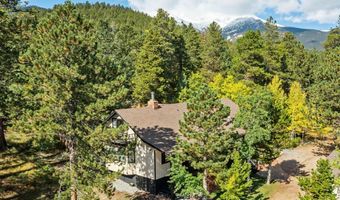 11982 Peak To Peak Dr, Allenspark, CO 80510