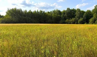 County Road Y, Aniwa, WI 54408