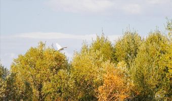 3127 US HWY 95, Cambridge, ID 83610