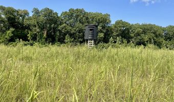 Bolivar Road, Benoit, MS 38725