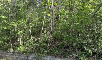 0 Goodman Ln, Barbourville, KY 40906
