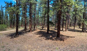 1120 Hole In The Wall Rd, Bonner, MT 59823