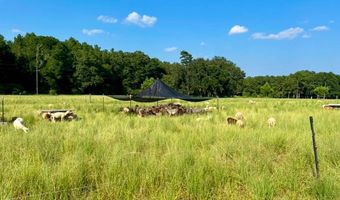 8645 Moores Mill Creek Rd, Baker, FL 32531