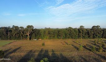 1050 Jolene Rd, Basile, LA 70515