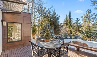 25 Nighthawk Dr, Aspen, CO 81611