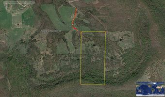 001-00342 002 CR 927, Alpena, AR 72611