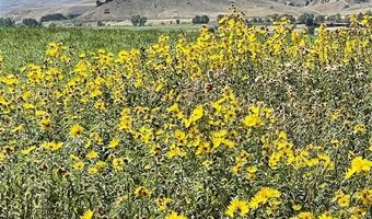 6 Whitney Dr, Cody, WY 82414
