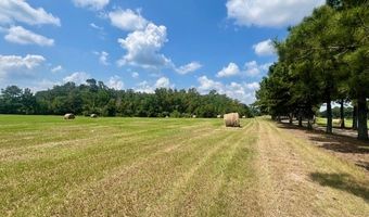 60327 Highway 445, Amite, LA 70422
