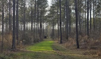 U.S. Highway 51, Bogue Chitto, MS 39629