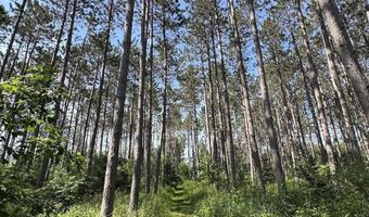 2254 E M30, Alger, MI 48610