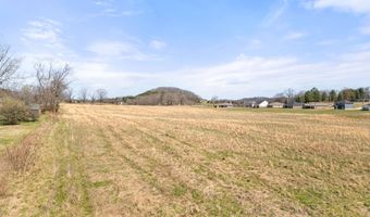 Greenwood Road lot 19, Afton, TN 37616