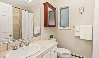 106 Swinging Bridge Ln, Basalt, CO 81621