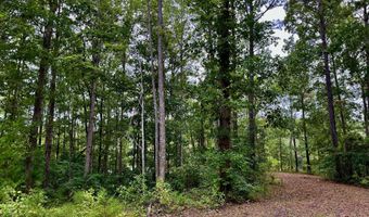 158 Fisher Turnpike Rd Lot 3, Arapahoe, NC 28510