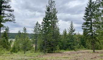 12 Acres Elizabeth Ln, Athol, ID 83801