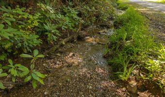 997 Miller Hollow Rd, Bean Station, TN 37708