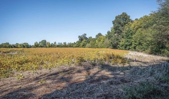 7 Acres Snake Rd, Athens, AL 35611