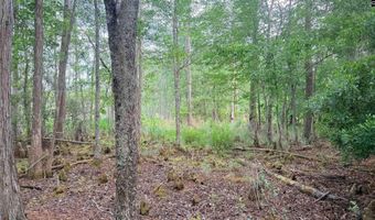 Goldenrod Drive, Barnwell, SC 29812