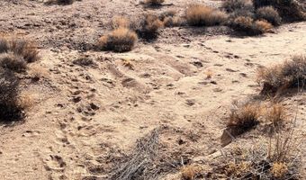 Lot 166 Lake Havasu Acres, Yucca, AZ 86438