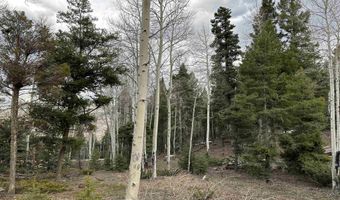 Lots 16 Lot17 Palo Flechado Ridge Road, Angel Fire, NM 87710